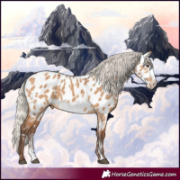 Horse Color:Silver Bay Dun Sabino Frame Near Leopard 