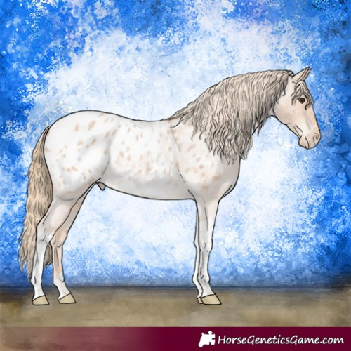 Horse Color:Red Roan Tobiano Blanket