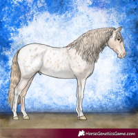 Horse Color:Red Roan Tobiano Blanket