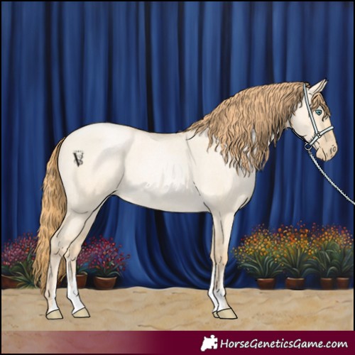 Horse Color:Smoky Grullo Roan Pearl Sabino 