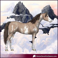 Horse Color:Classic Champagne Sabino