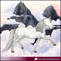 Horse Color:Palomino Roan Near Leopard 