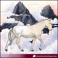 Horse Color:Palomino Roan Splash Appaloosa 