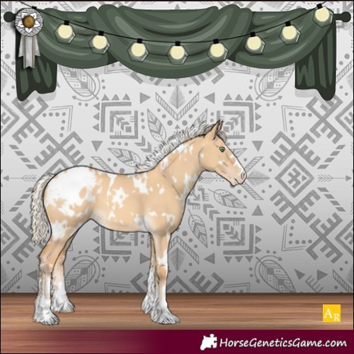 Horse Color:White Spotted Gold Cream Champagne Dun Varnish 