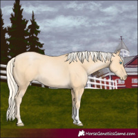 Horse Color:Palomino Pearl Sabino