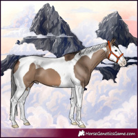 Horse Color:Brown Dun Splash Tobiano 