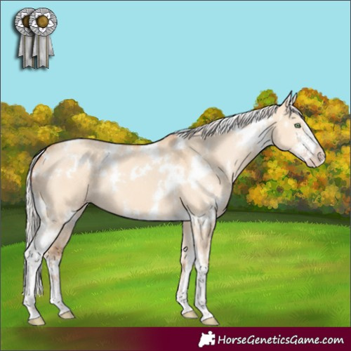 Horse Color:White Spotted Silver Amber Champagne Dun Sabino