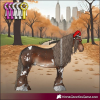 Horse Color:White Spotted Liver Chestnut 