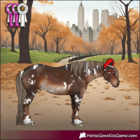 Horse Color:White Spotted Liver Chestnut