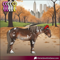 Horse Color:White Spotted Liver Chestnut 