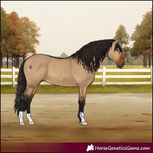 Horse Color:Gray Bay Dun