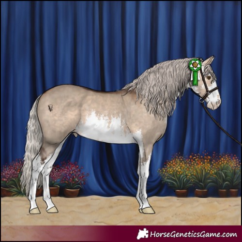 Horse Color:White Spotted Silver Brown Dun