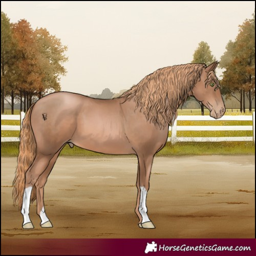 Horse Color:Liver Chestnut Pearl 