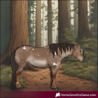Horse Color:White Spotted Liver Red Dun 