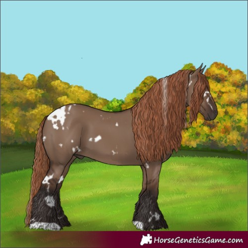 Horse Color:White Spotted Liver Red Dun 