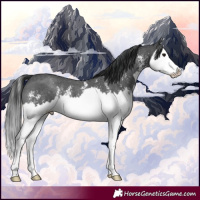 Horse Color:Black Sabino Splash