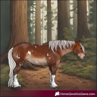 Horse Color:White Spotted Silver Bay Tobiano Rabicano 