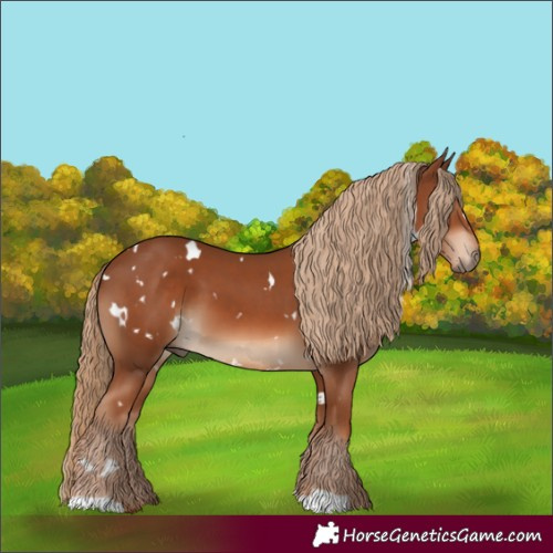 Horse Color:White Spotted Chestnut 