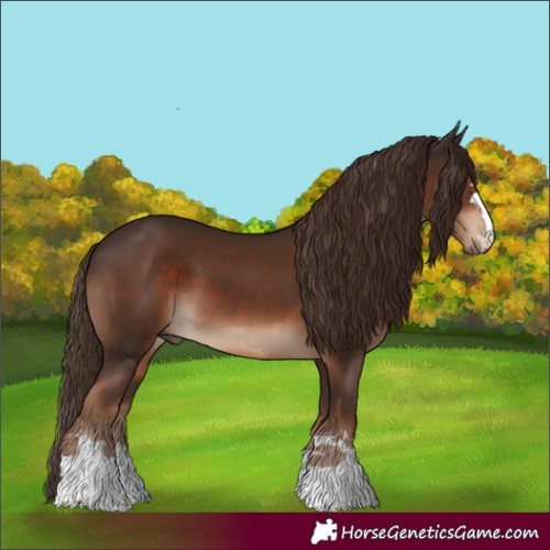 Horse Color:Liver Chestnut 
