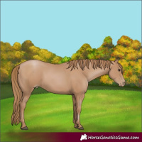 Horse Color:Black Pearl