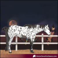 Horse Color:Grullo Skewed LP Spotted 