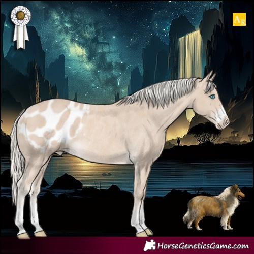 Horse Color:Cremello Appaloosa Rabicano 