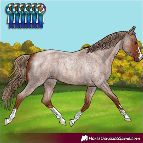Horse Color:Red Roan 