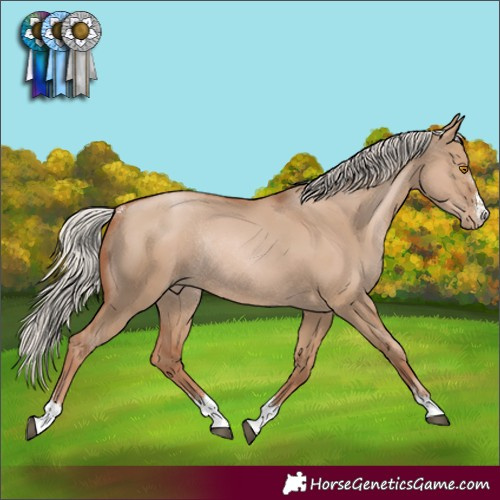 Horse Color:Silver Grullo Pearl Rabicano 