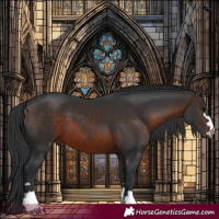 Horse Color:Brown 