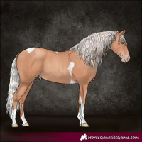 Horse Color:Silver Classic Champagne Tobiano Rabicano 
