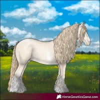 Horse Color:Smoky Black Pearl Sabino 