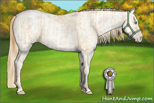 Horse Color:Buckskin Roan Pearl and Buckskin Roan Pearl