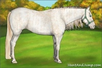 Horse Color:Buckskin Roan Pearl and Buckskin Roan Pearl