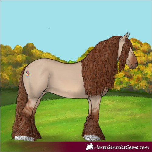 Horse Color:Red Dun 