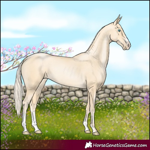 Horse Color:Gold Cream Champagne Pearl Sabino