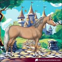 Horse Color:Silver Bay Dun Rabicano 