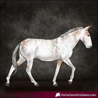 Horse Color:Gray Buckskin Sabino Rabicano