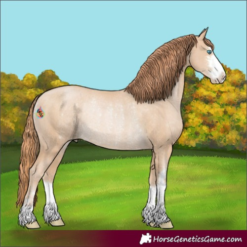 Horse Color:Buckskin Pearl Rabicano