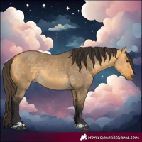 Horse Color:Buckskin Dun and Buckskin Dun