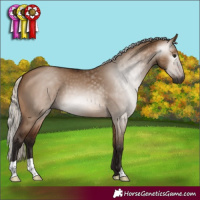 Horse Color:Gray Silver Bay Dun 
