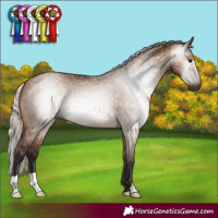 Horse Color:Gray Silver Bay Dun 