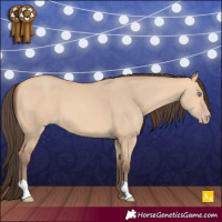 Horse Color:Amber Champagne Dun 
