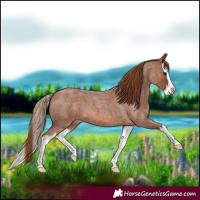 Horse Color:Red Roan Splash 