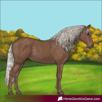 Horse Color:Silver Black 
