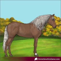 Horse Color:Silver Black 