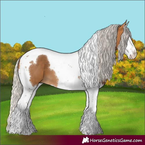 Horse Color:Silver Buckskin Splash Tobiano 