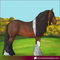 Horse Color:Bay Tobiano Rabicano