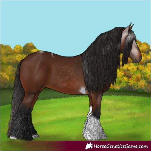 Horse Color:Gray Bay Tobiano 