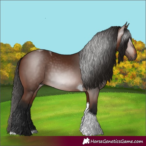 Horse Color:Gray Bay Tobiano 