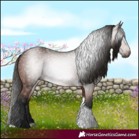 Horse Color:Gray Bay Tobiano 
